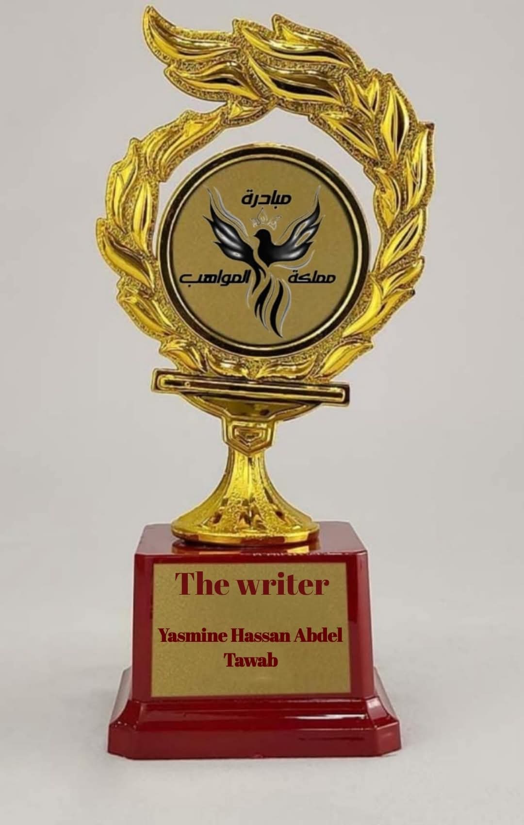 كأس تكريم من مبادرة مملكة المواهب - ياسمين حسن