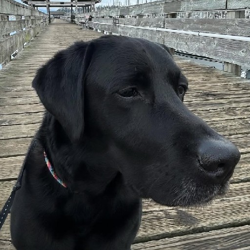 mumu profile picture