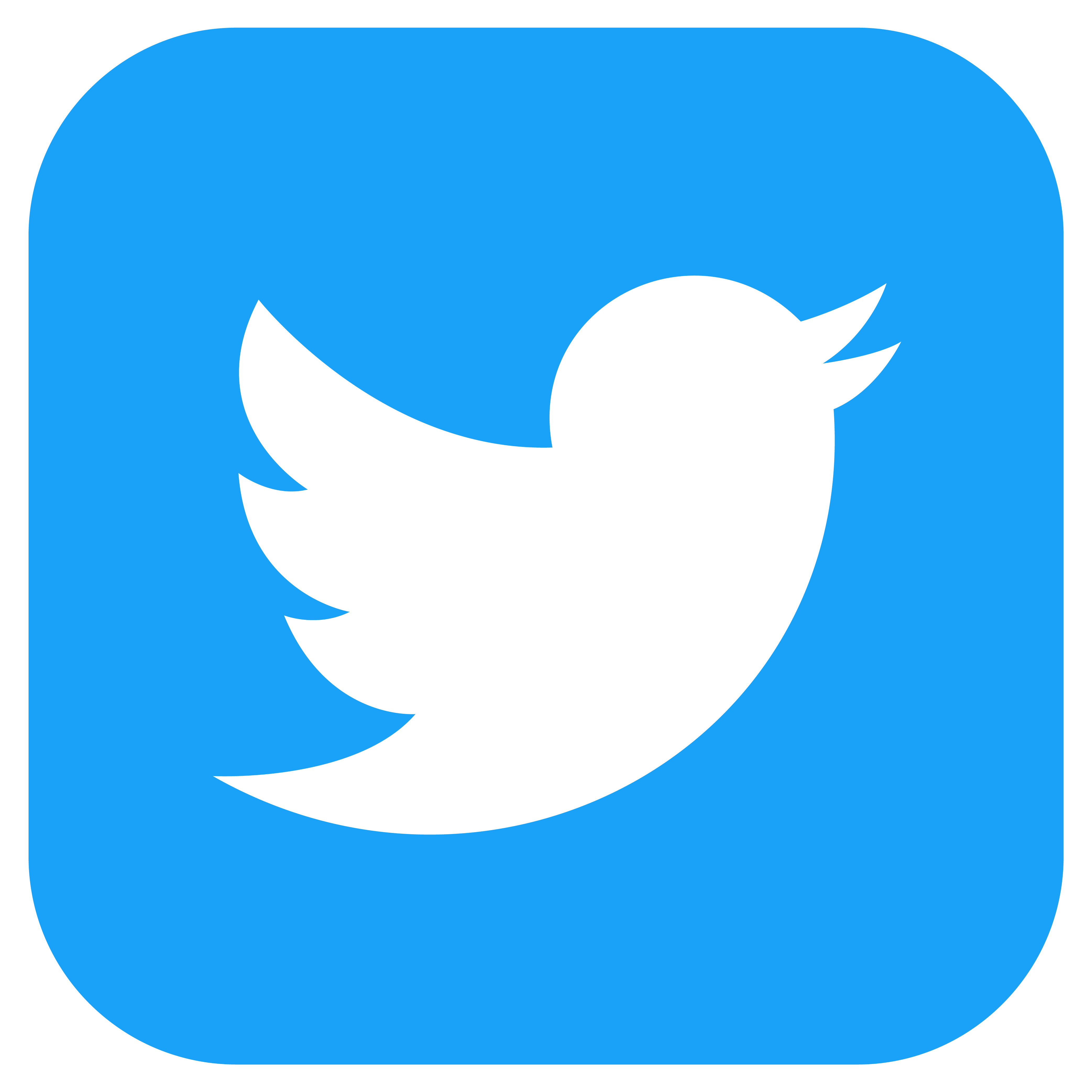 Twitter Icon