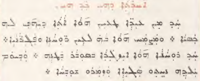 Syro-Malabar Church page 1