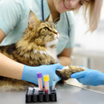 Exámenes de Laboratorio