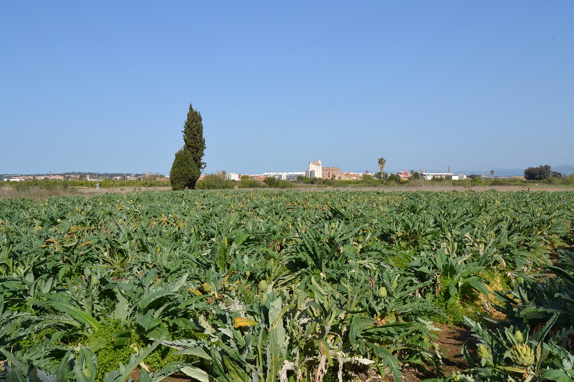 Miradors de l'Horta: nueve instalaciones de arte entre los campos