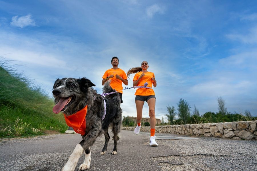 Dogfy Run: carrera solidaria con perro