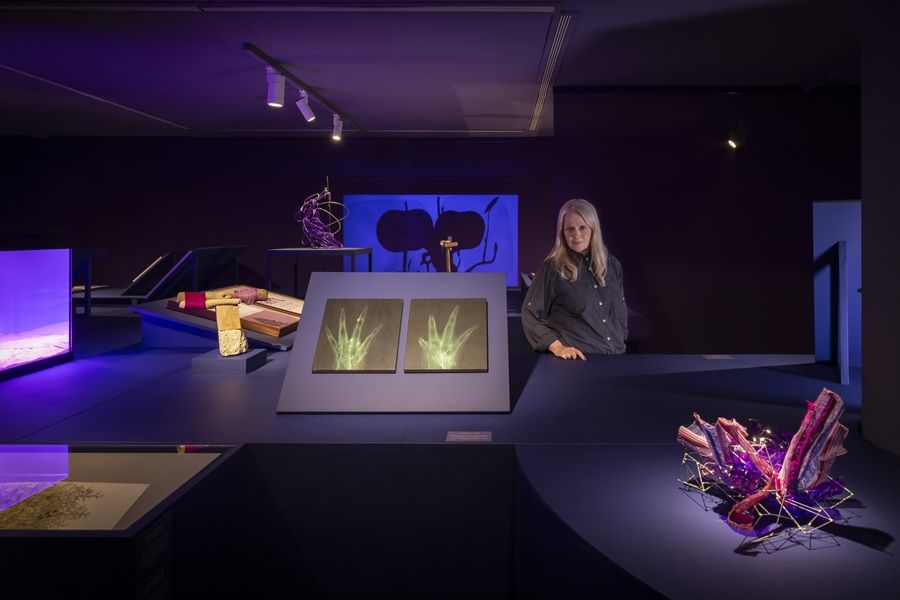 Melanie Smith en el IVAM: el ajolote y el caracol púrpura