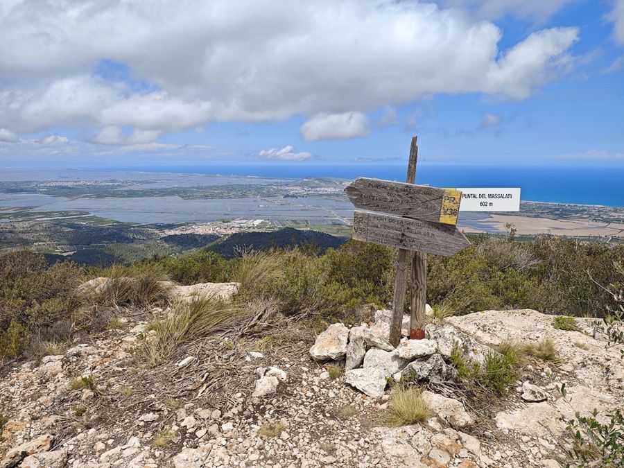 Doce rutas guiadas gratis por la Ribera