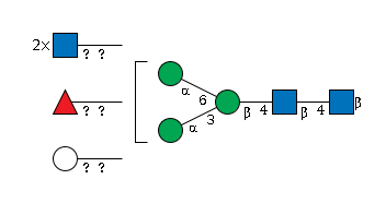 LBG-4YN56
