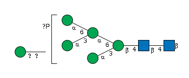 LBG-7JK4H