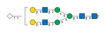 LBG-8S1JQ