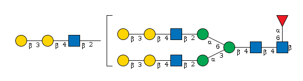 LBG-D5LG7