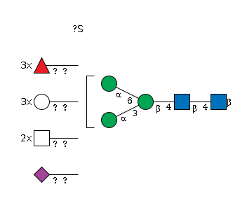 LBG-IN5WY