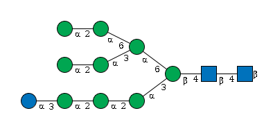 LBG-N5PYP