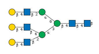 LBG-PY2L3