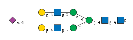 LBG-XBQ64
