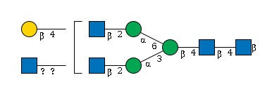 LBG-XVZH0