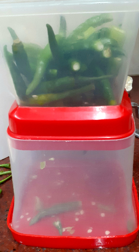 Mirchi ka thecha (maharashtrian green chilies  chutney )