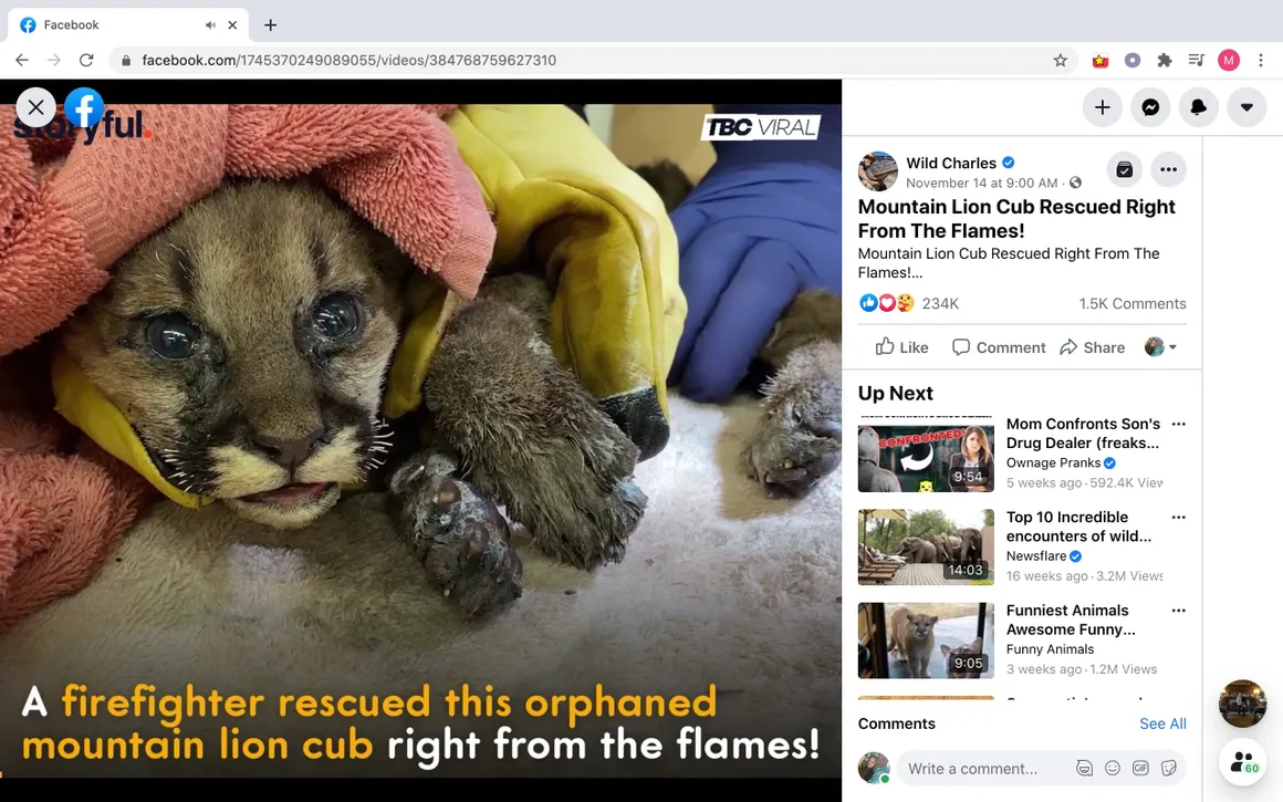 High Engagement Post