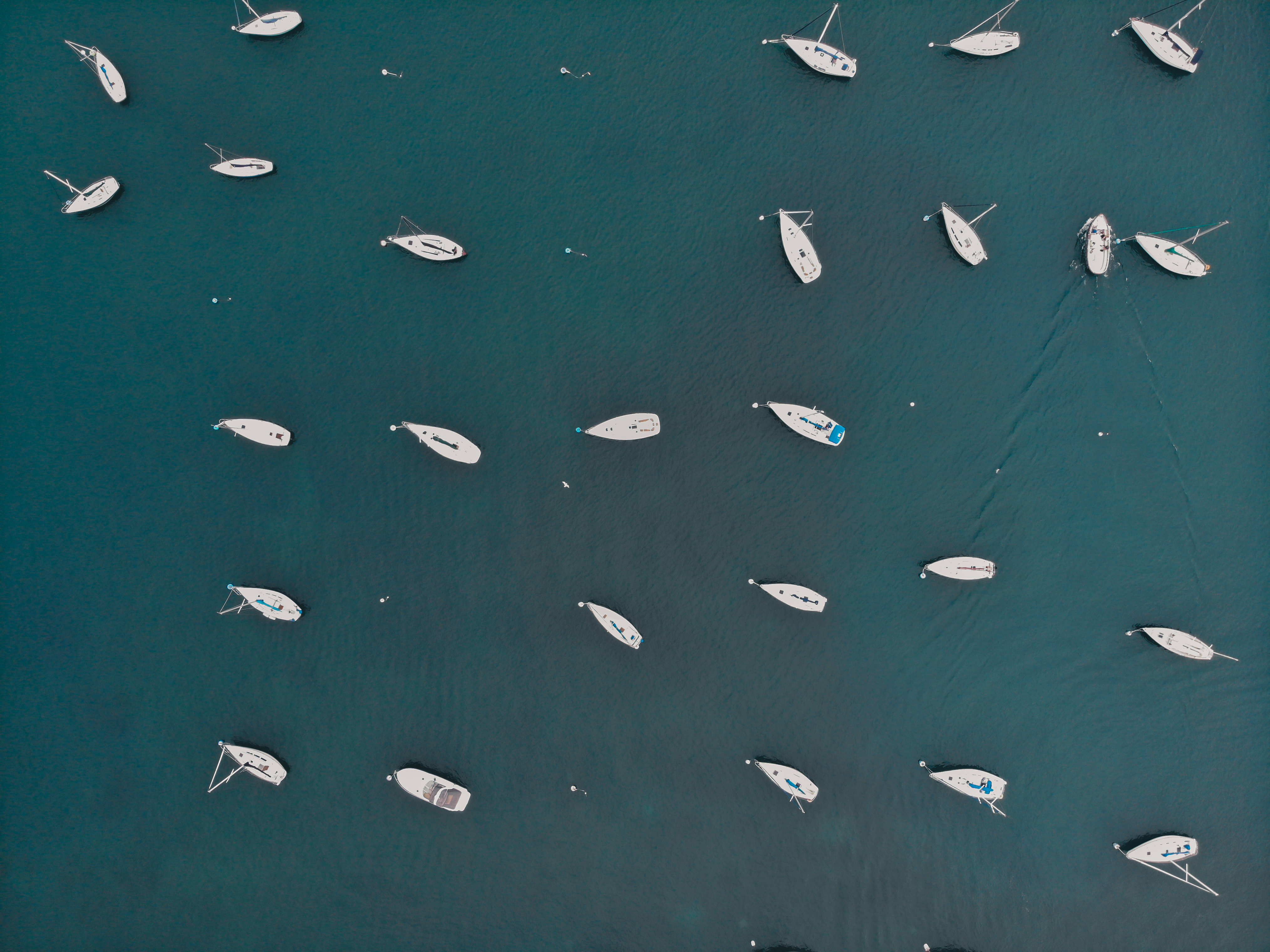 drone photography of boats