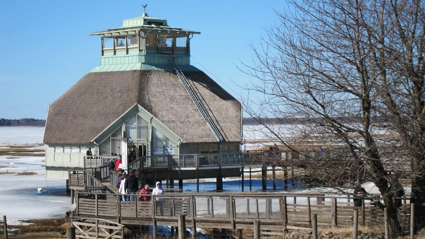 Naturum – En grön tråd genom Sverige