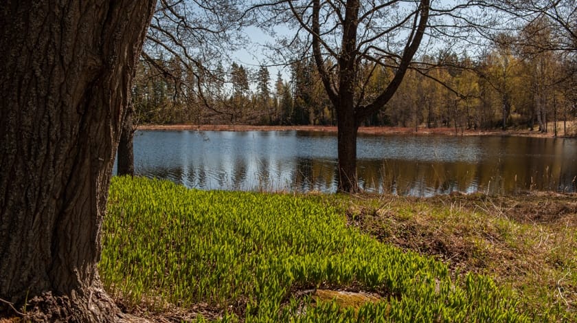 Visit Dalarna möter framtiden - 13 Turistbyråer blir 50 Info Points