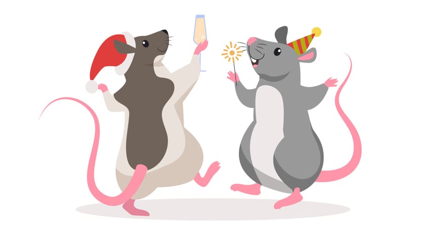 Undvik musfesten i vinter!