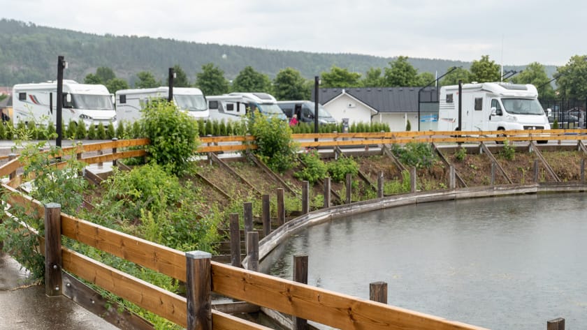 Gästplats Gränna - Du välkomnas av ”gröna mattan” men får rulla ut den själv