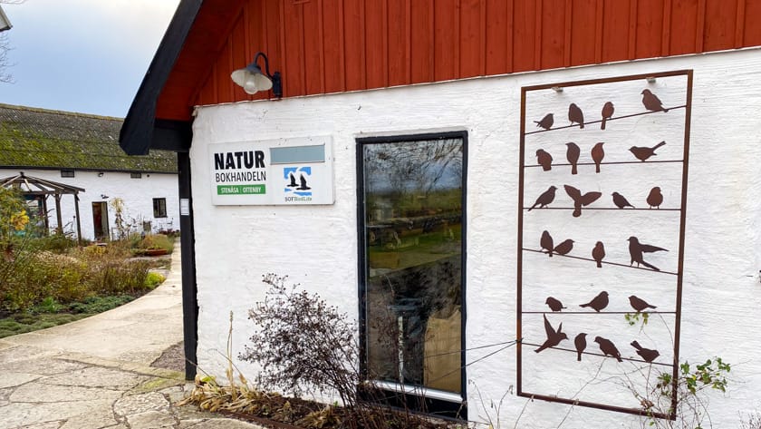 Stenåsa - Allt du inte vet om fåglar