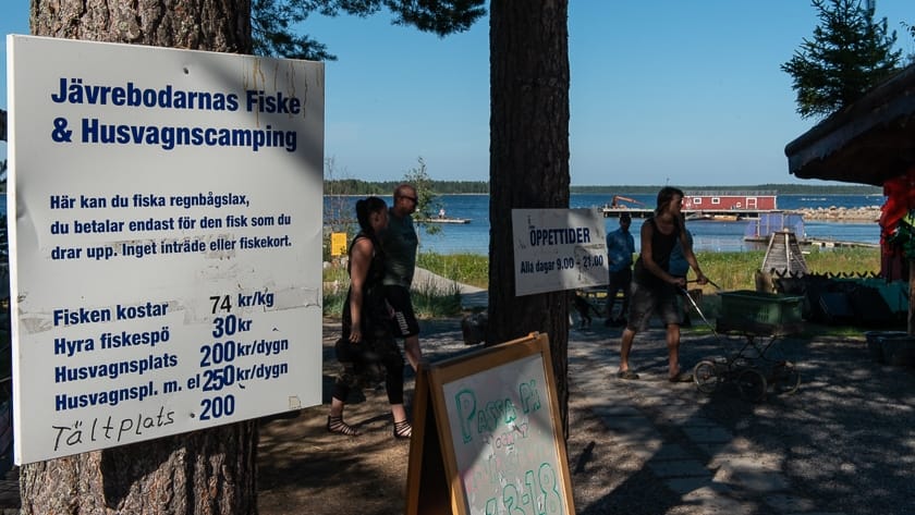 Jävrebodarnas Fiskecamp - De du!