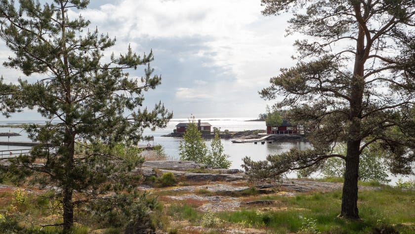 Sunnanå, kontrasternas hamn