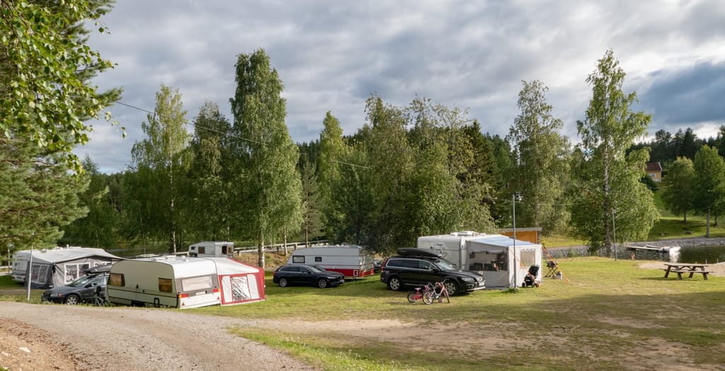 Granö Beckasin - En udda campingfågel