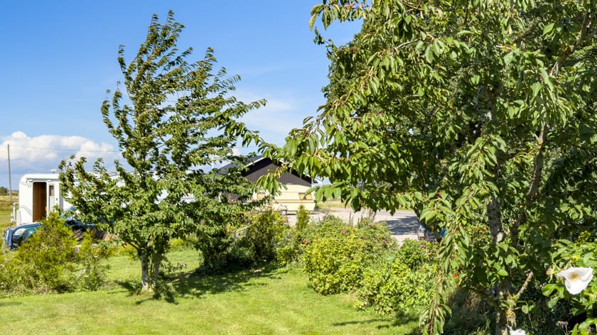 Drottning Ödas ställplats - Kulinarisk upplevelse