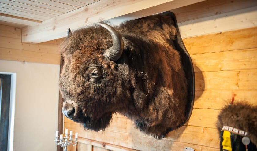 Gate - En unik kombination för Sverige!