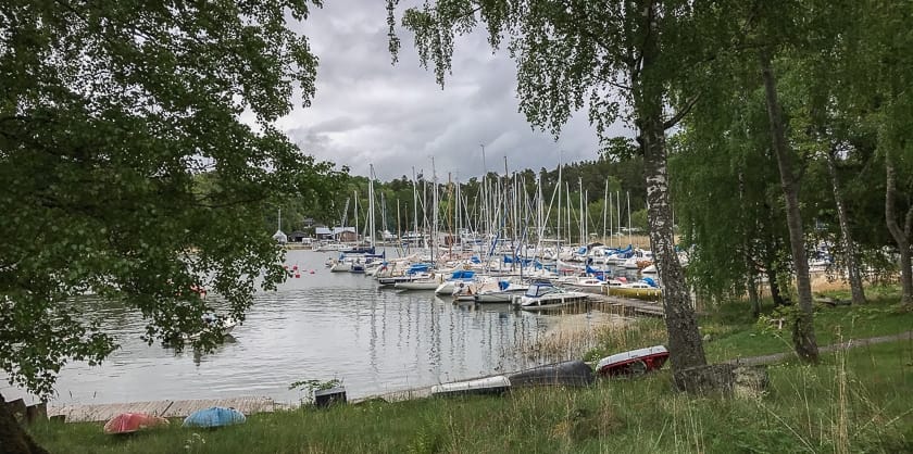 Öliv i Stockholmsförort