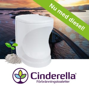 Cinderella Med 250203