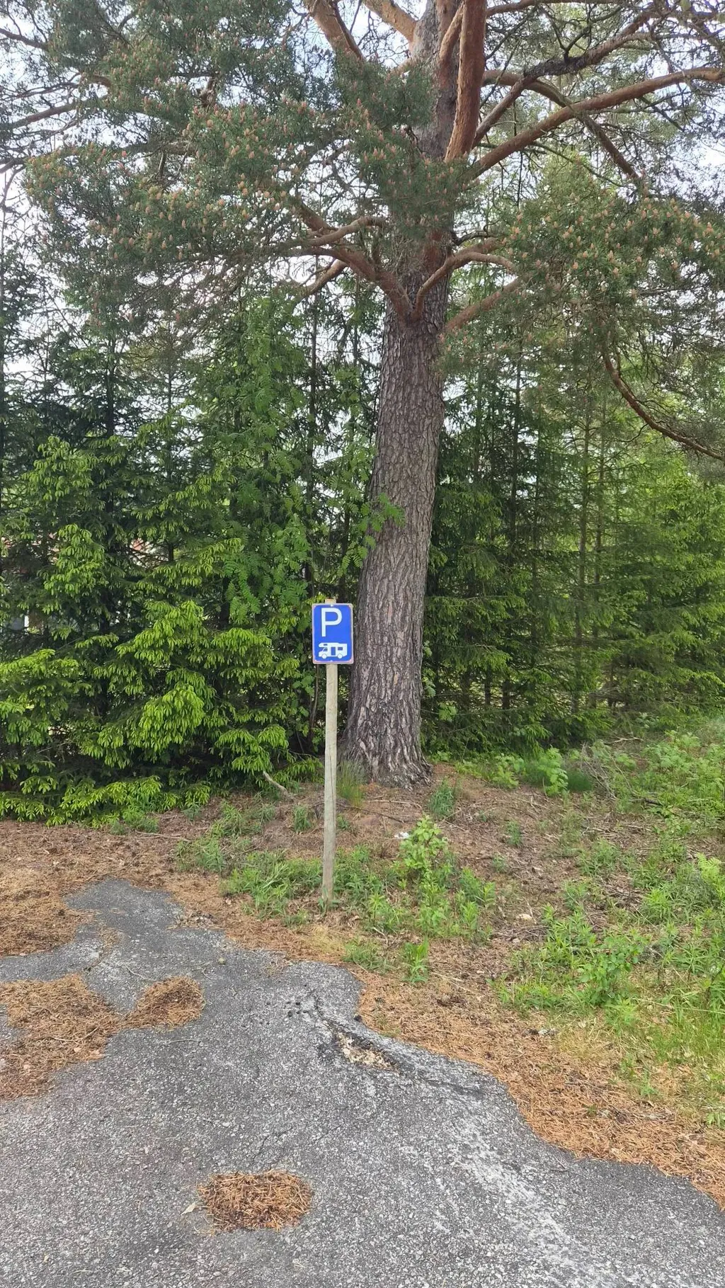 Bild på Östansjö