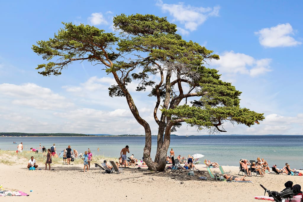 Bild på First Camp Åhus - Kristianstad