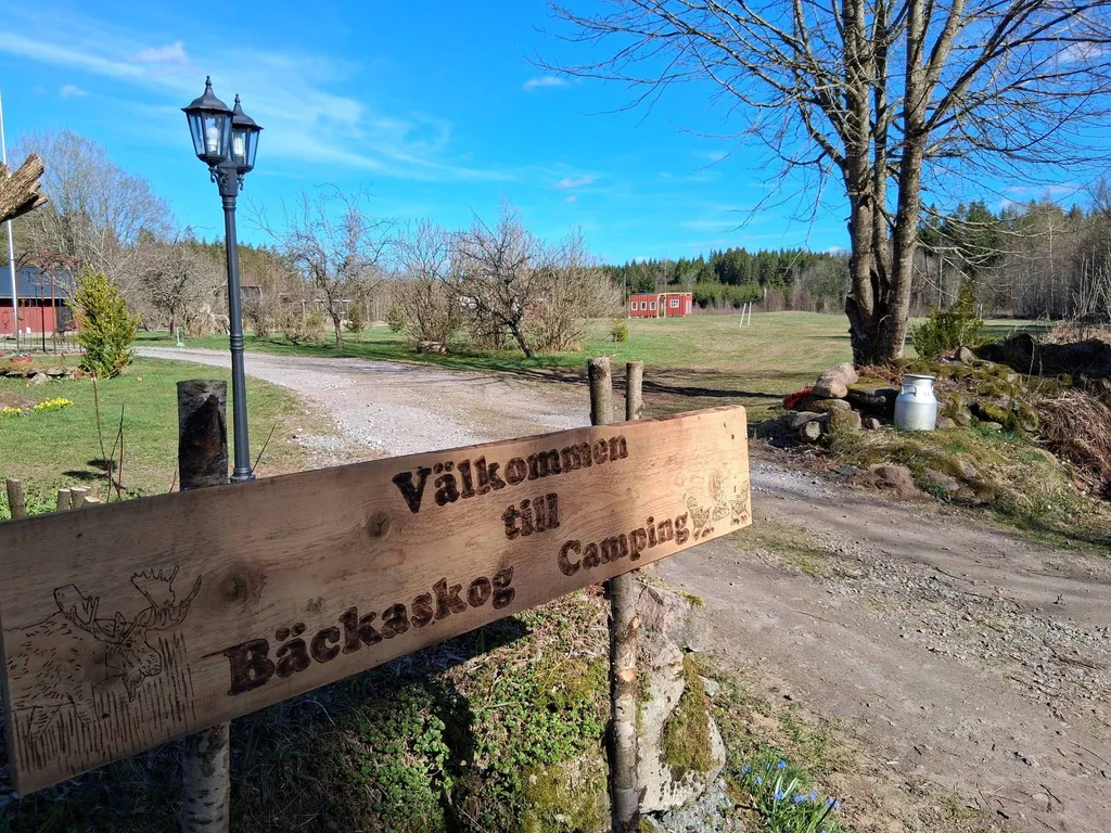 Bild på Bäckaskogs Camping