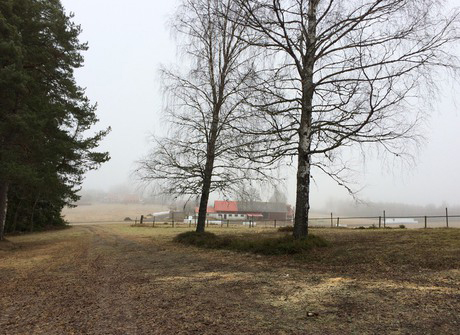 Bild på Stora Mosshult