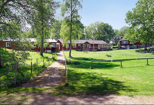 Bild på Den Sovande Älgen