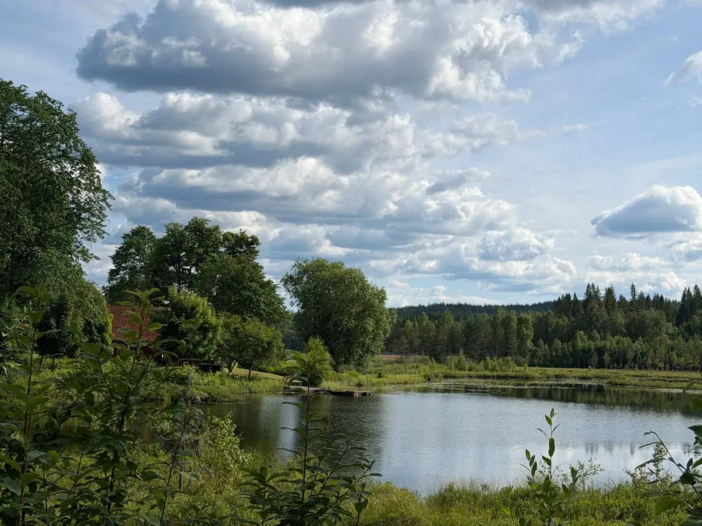 Bild på Saxå