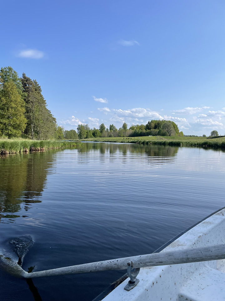 Bild på Stora Djupsås