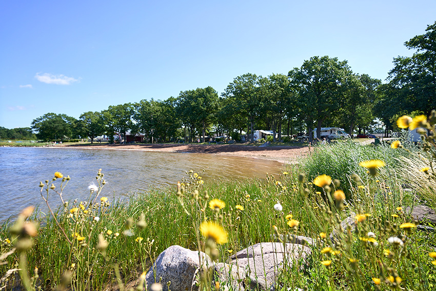 Bild på Eriksöre Camping