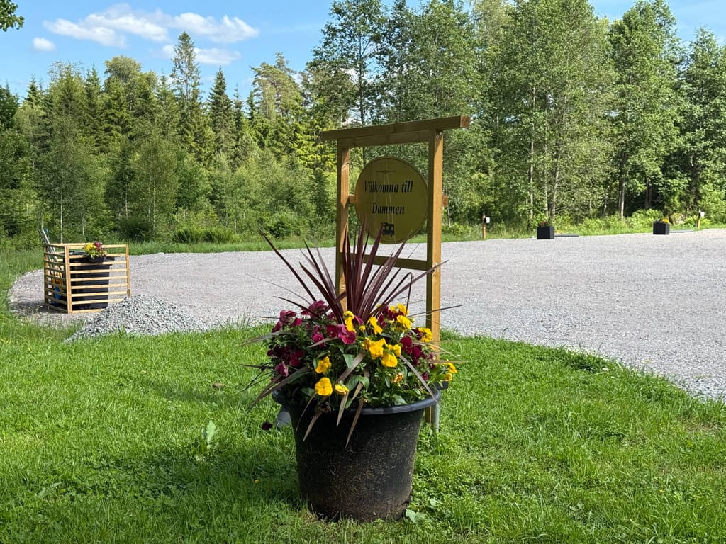 Bild på Dammen