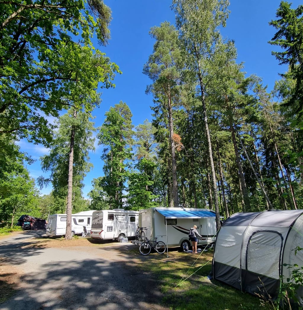 Bild på Läckö Strand