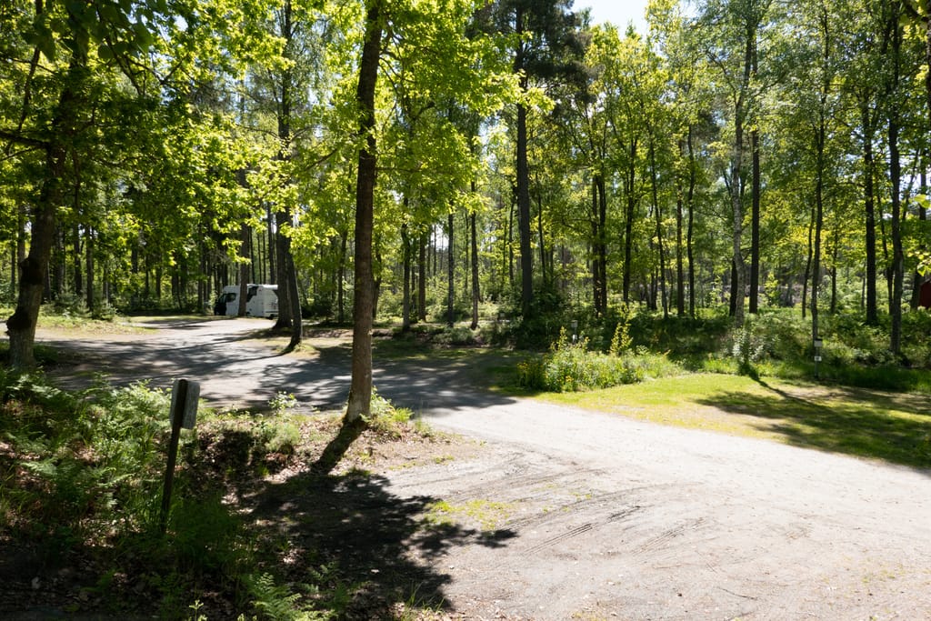 Bild på Läckö Strand