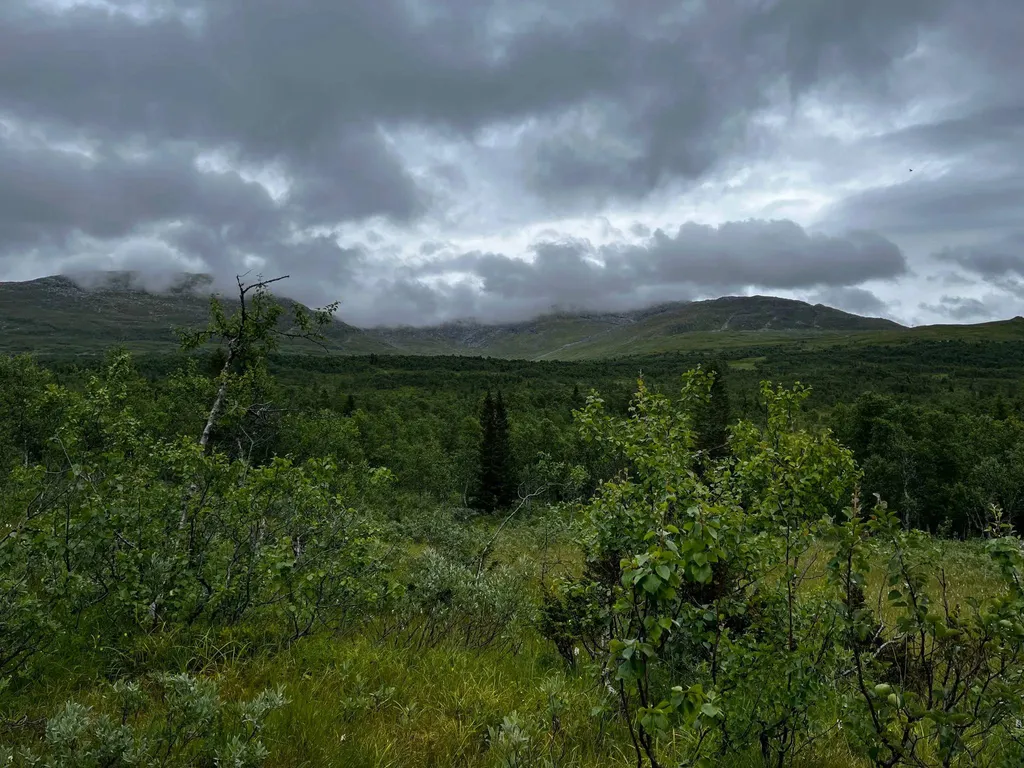 Bild på Ullådalen