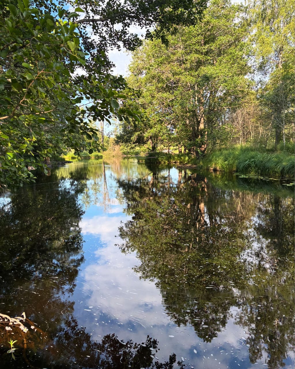 Bild på Forsgården i Gävle