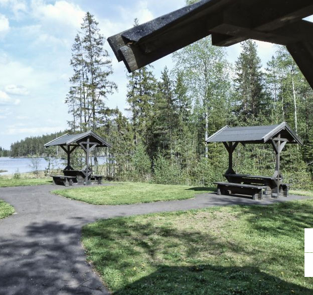 Bild på Dammtjärnen