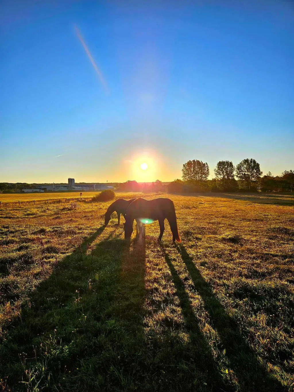 Bild på Gustavsborg