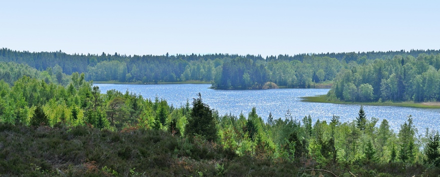 Bild på Stigmansgården