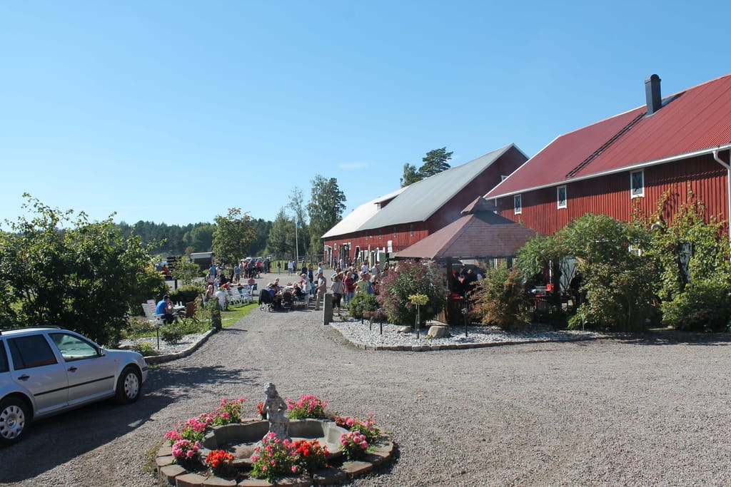Bild på Vikbolands Struts